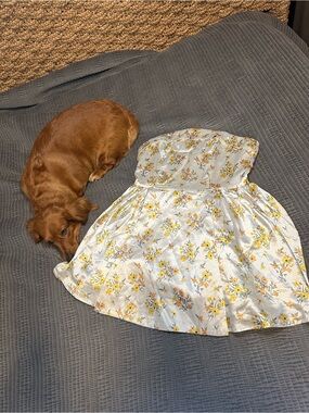 glow in the dark homecoming dress Sassy Shortcake Seeking Summer Dress main image 1